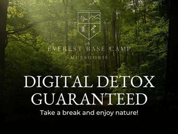 Unplugging in Nature: A Digital Detox Retreat in Mussoorie