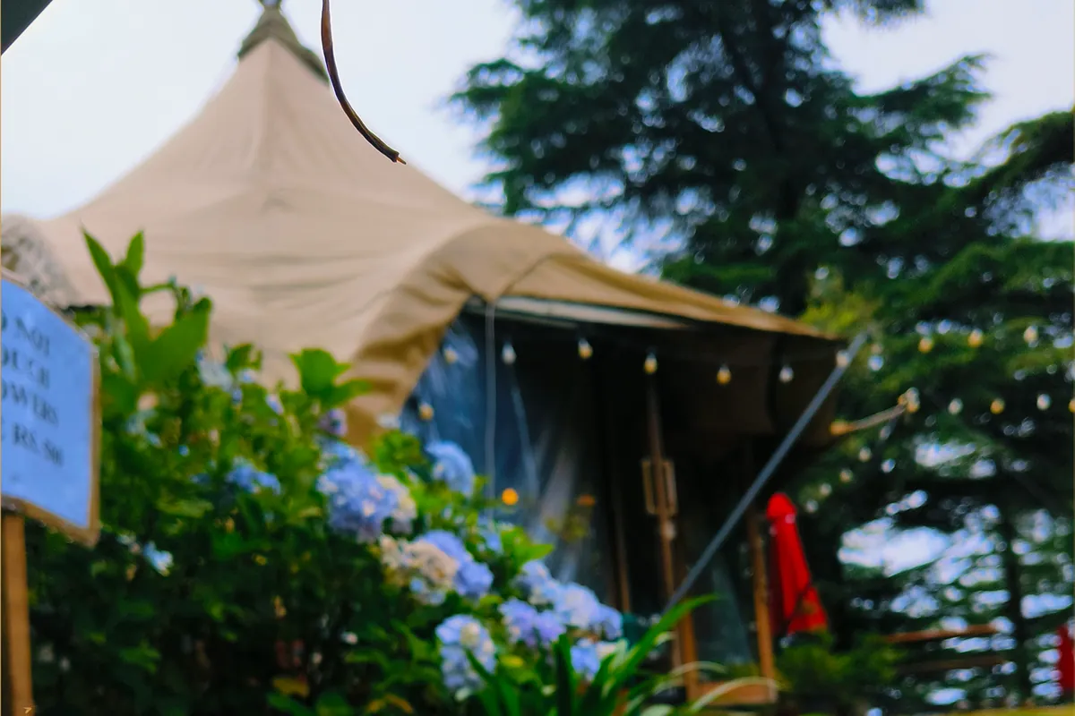 The Best Hill Stations in India, Ranked by What You Actually Want from a Trip