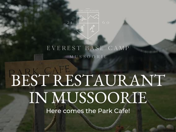 The Best Restaurant in the Hills: A Guide to the Park Cafe
