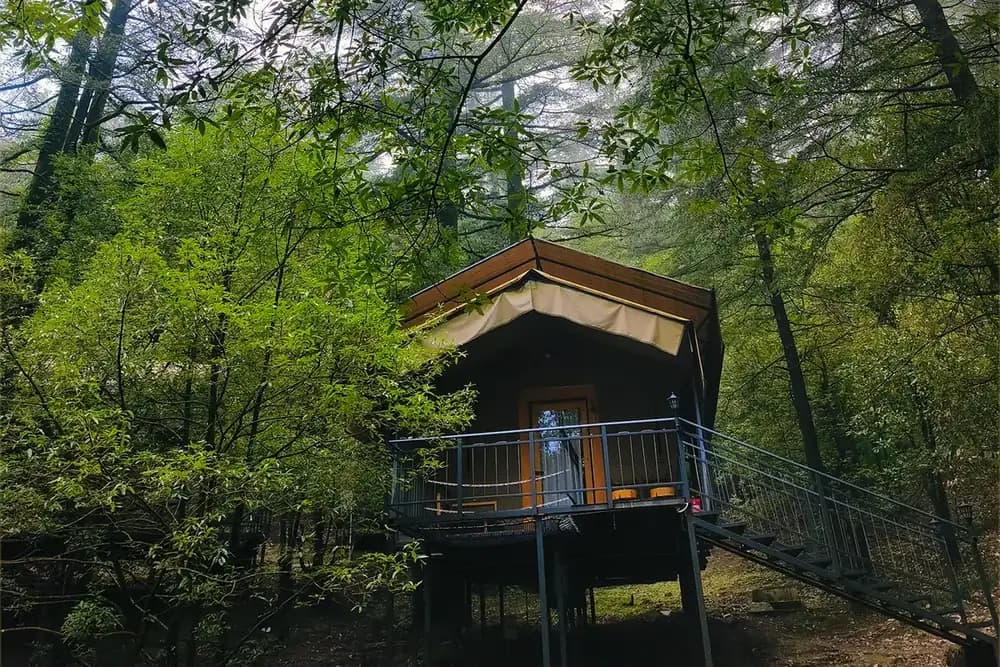 Monsoon Glamping in India: Where to Go, What to Expect, and How to Prepare