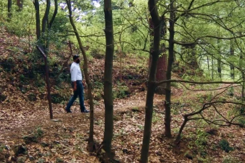 Nature Walks in Deodar Forest: What Makes These Trails Distinctive and Where to Find the Best Ones Near Mussoorie