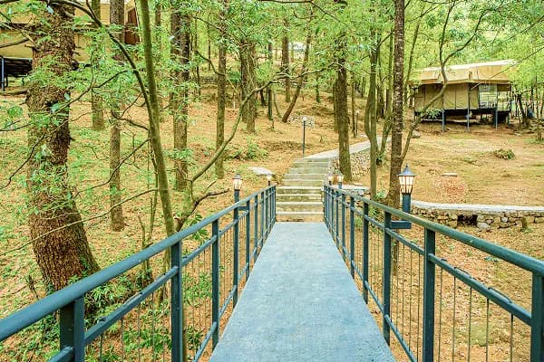 Trekking in Mussoorie: Every Route Worth Knowing, Ranked by Difficulty and Season
