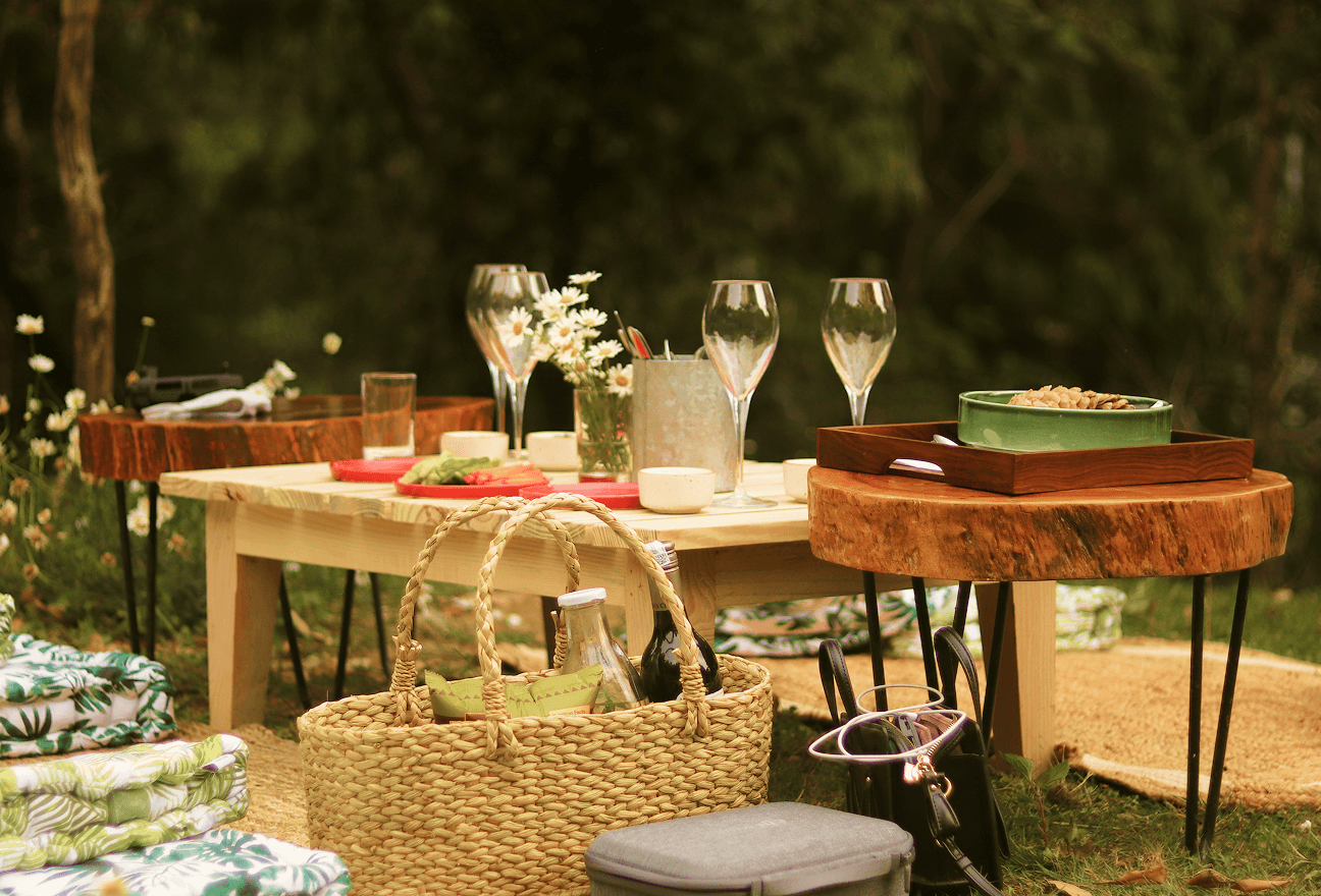 Picnic in the <i>Meadows!</i>